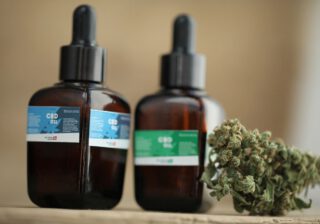 Jak olejek CBD działa na zwierzęta?